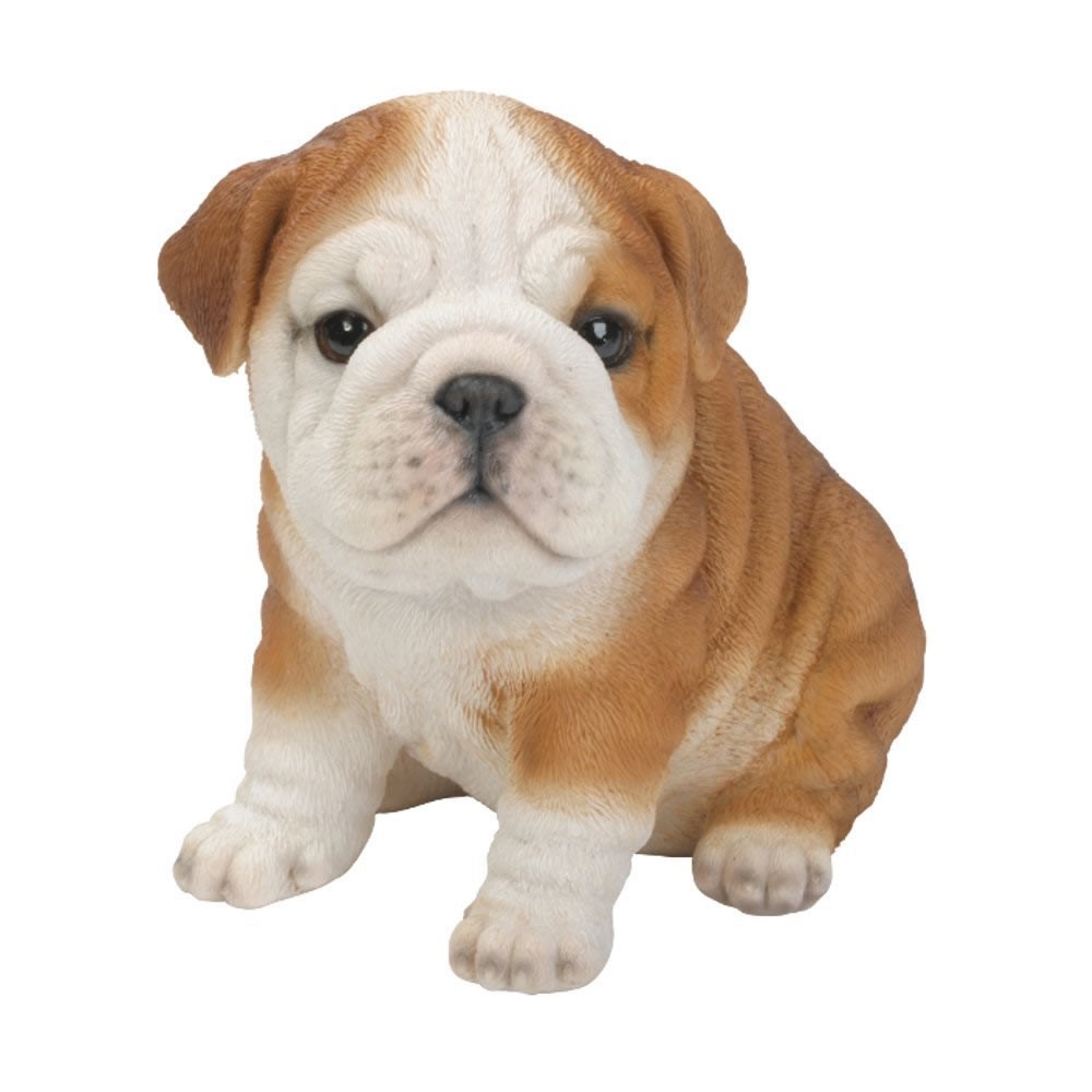 Vivid Arts Pet Pals Bulldog Puppy Size F
