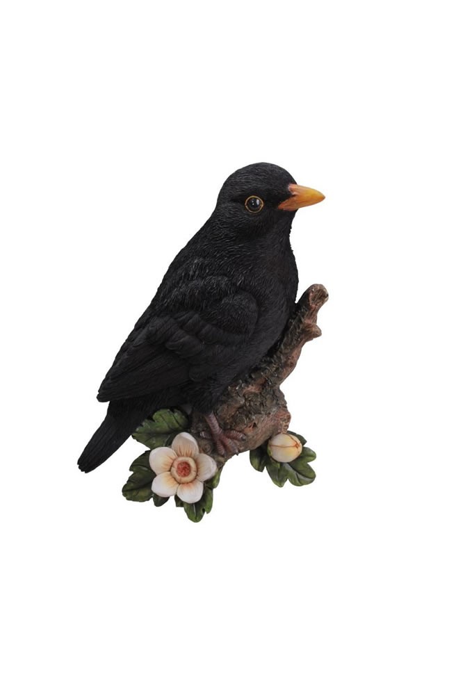 Vivid Arts Plaque Blackbird Size D