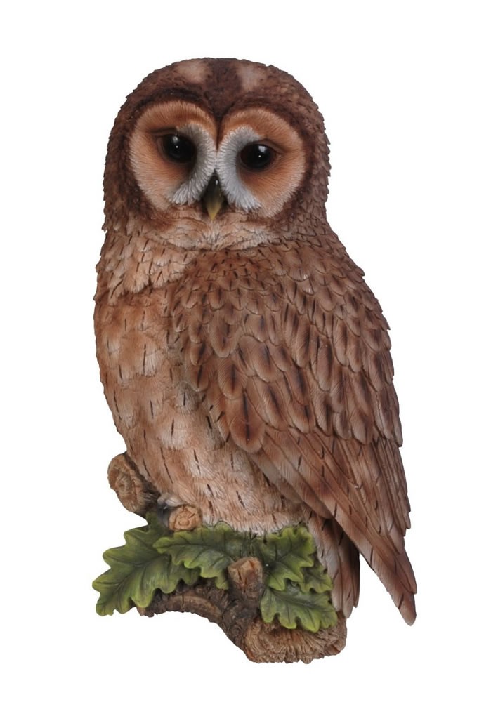 Vivid Arts Plaque Tawny Owl Size D