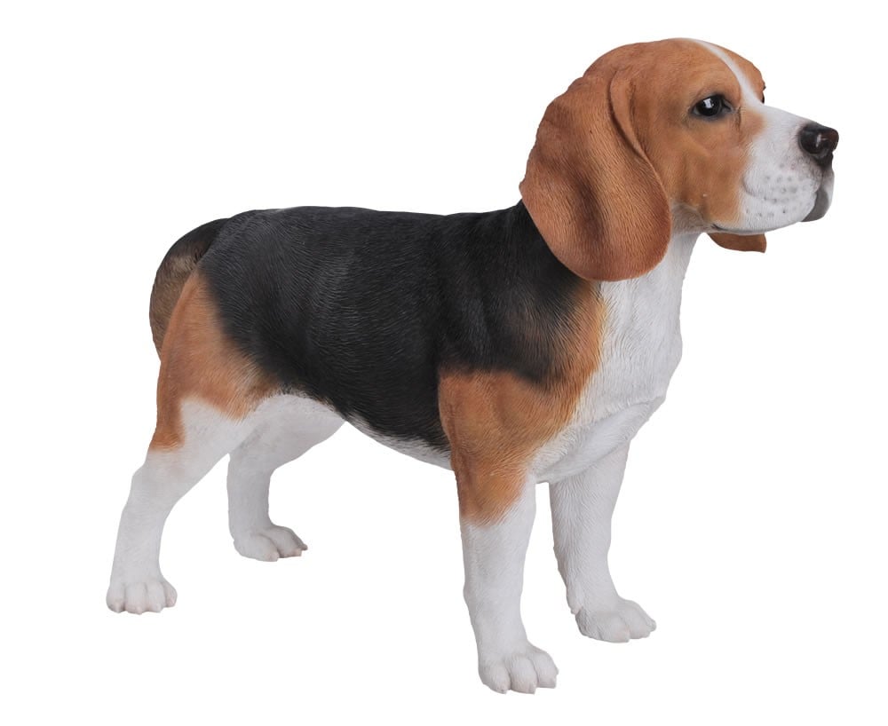 Vivid Arts Real Life Beagle Size A