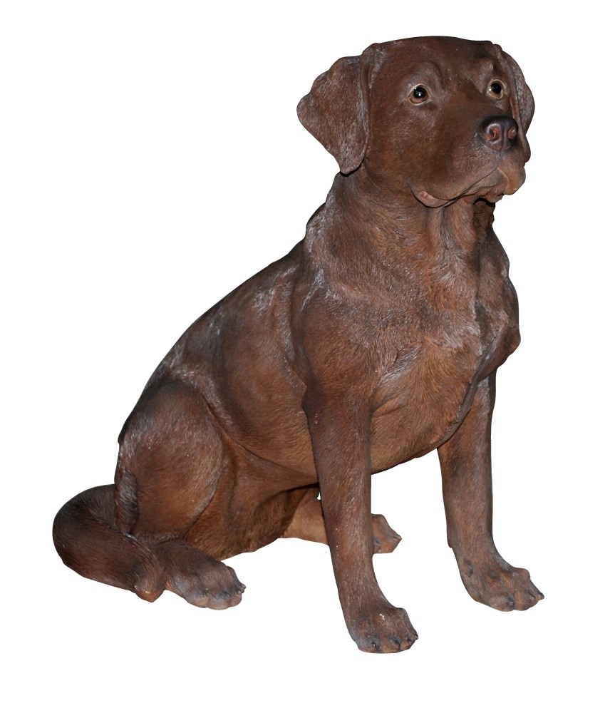 Vivid Arts Real Life Chocolate Labrador Size A