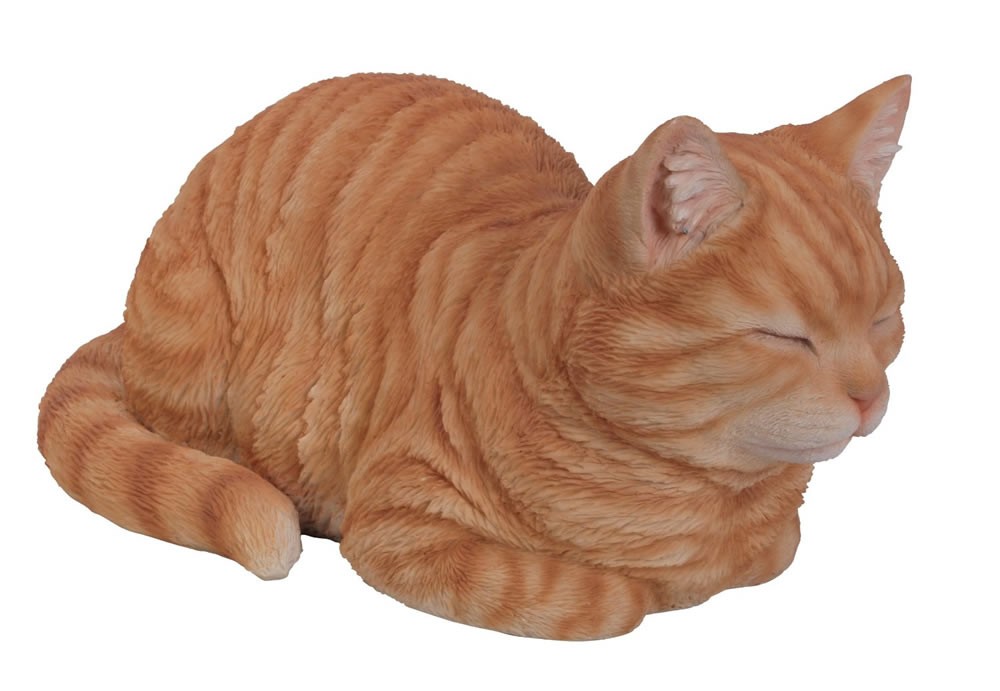 Vivid Arts Real Life Dreaming Cat Ginger Size B