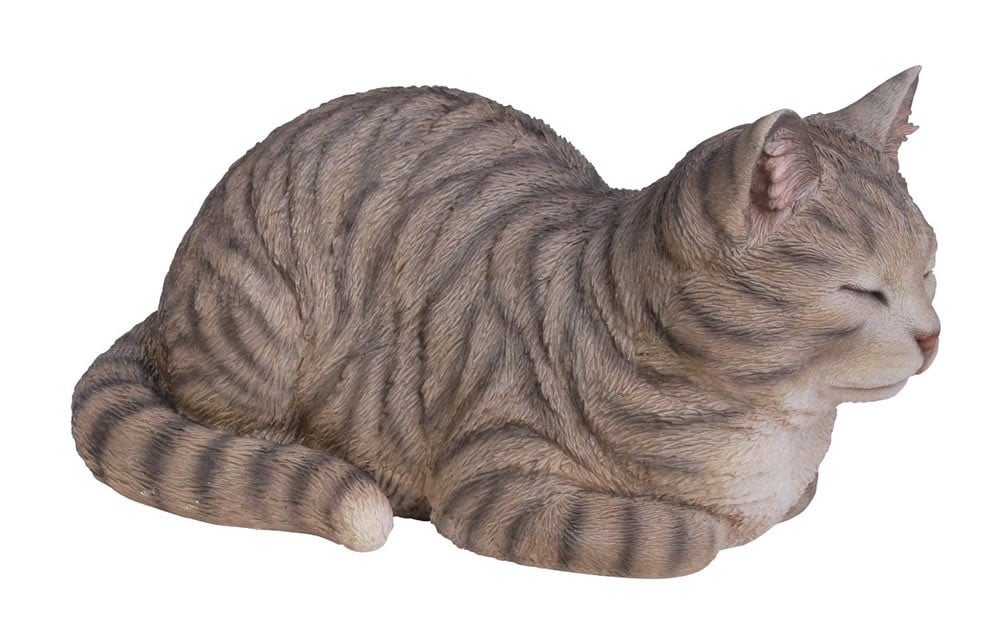 Vivid Arts Real Life Dreaming Cat Tabby Size B