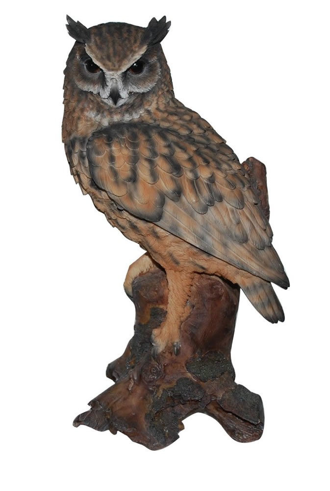 Vivid Arts Real Life Long Eared Owl Size B