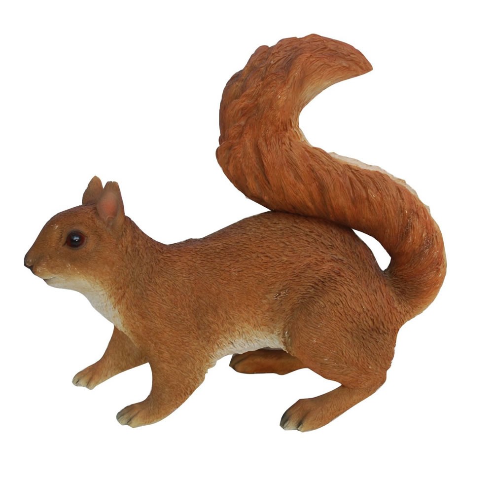 Vivid Arts Real Life Red Squirrel Size A