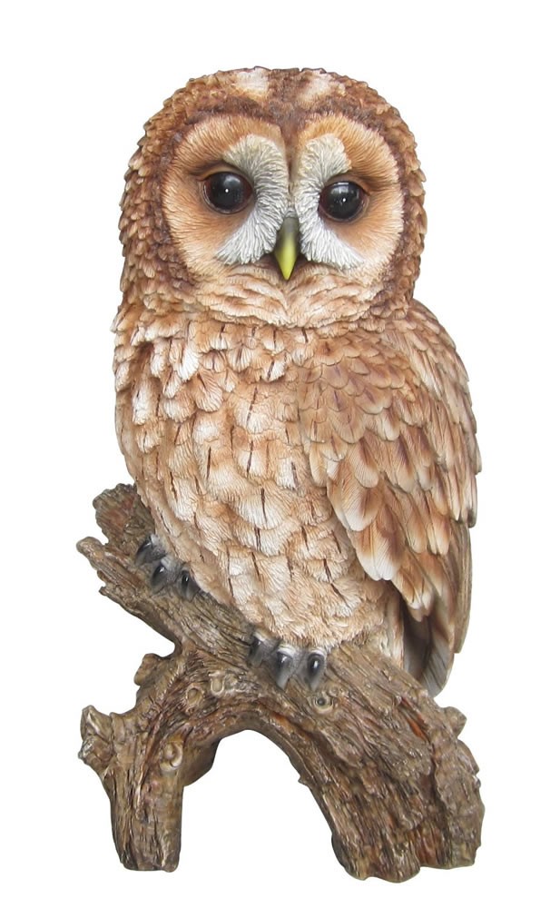 Vivid Arts Real Life Tawny Owl Size B