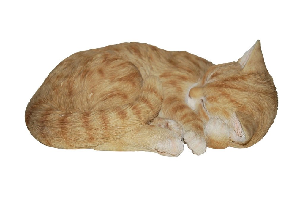 Vivid Arts Real Life Sleeping Cat Ginger Size B