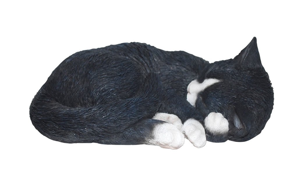 Vivid Arts Sleeping Cat Black White Size B