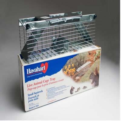 Havahart Squirrel Trap cage