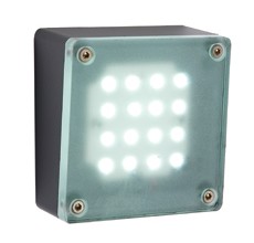 Halo White LED Outdoor Wall Mounted Light 2w