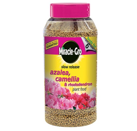 Miracle Gro Slow Release Azalea Camellia Rhod Plant Food