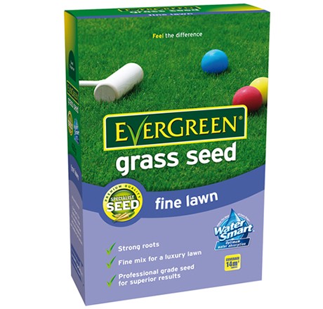 EverGreen Fine Lawn Grass Seed