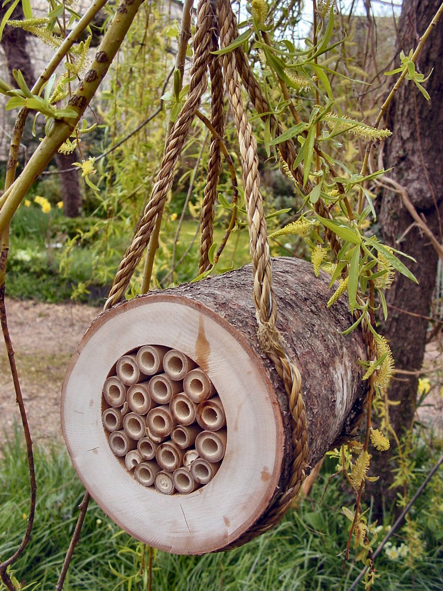 Pollinating Bee Log