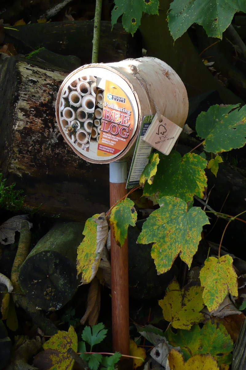 Pollinating Bee Log with Pole