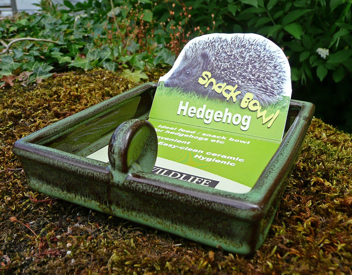 Hedgehog Snack Bowl