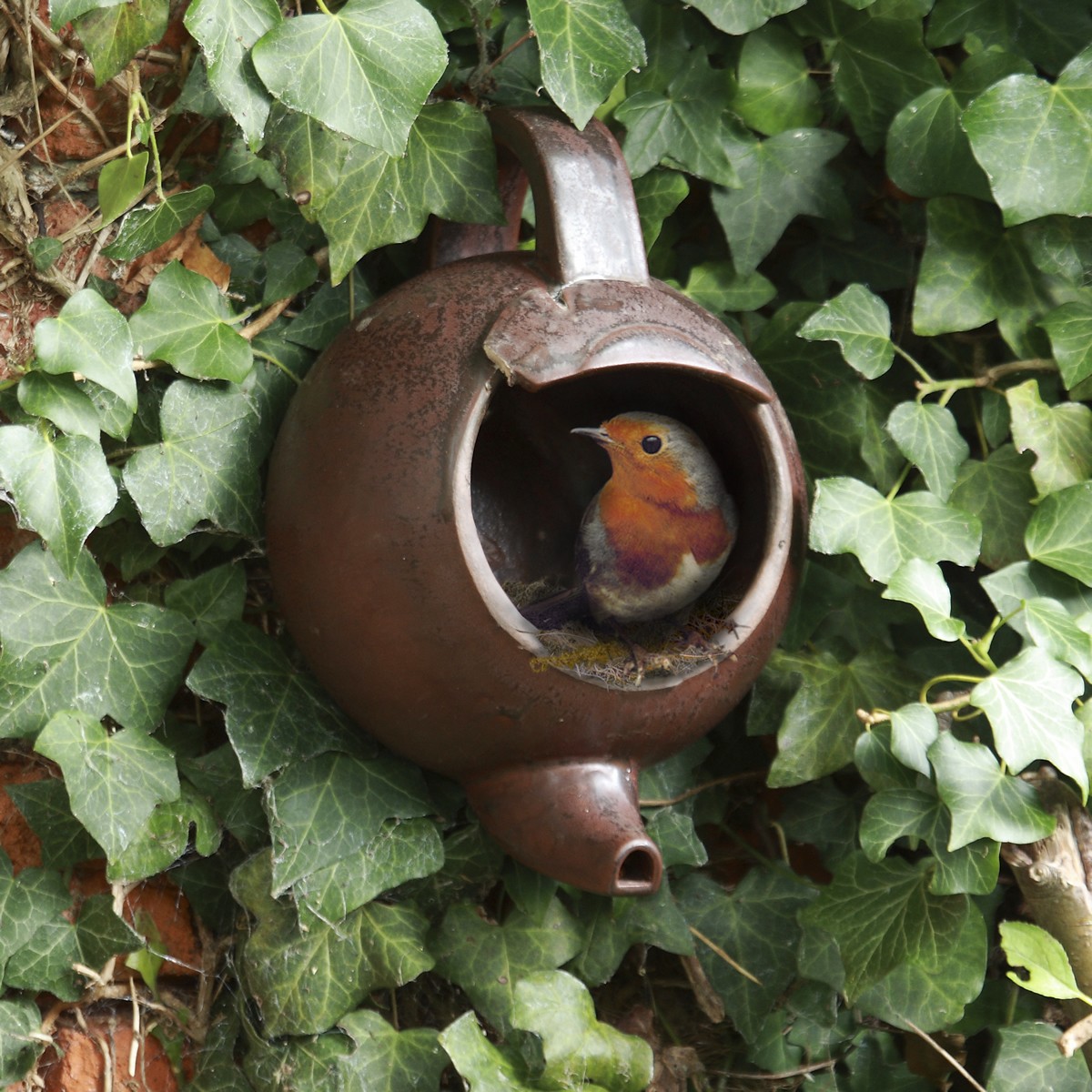 Robin Teapot Nester