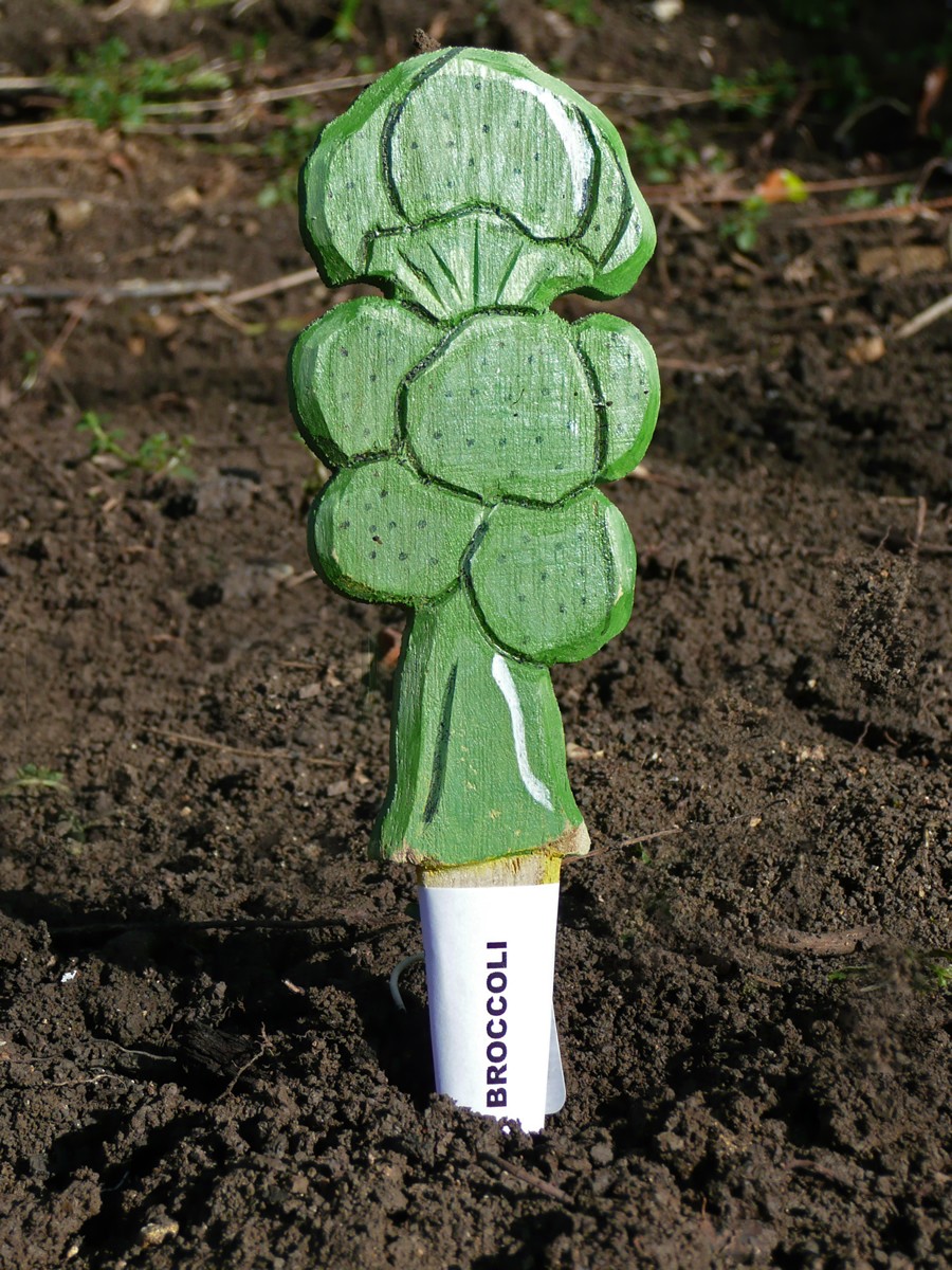Veggie Stikks Broccoli Vegetable Labelling