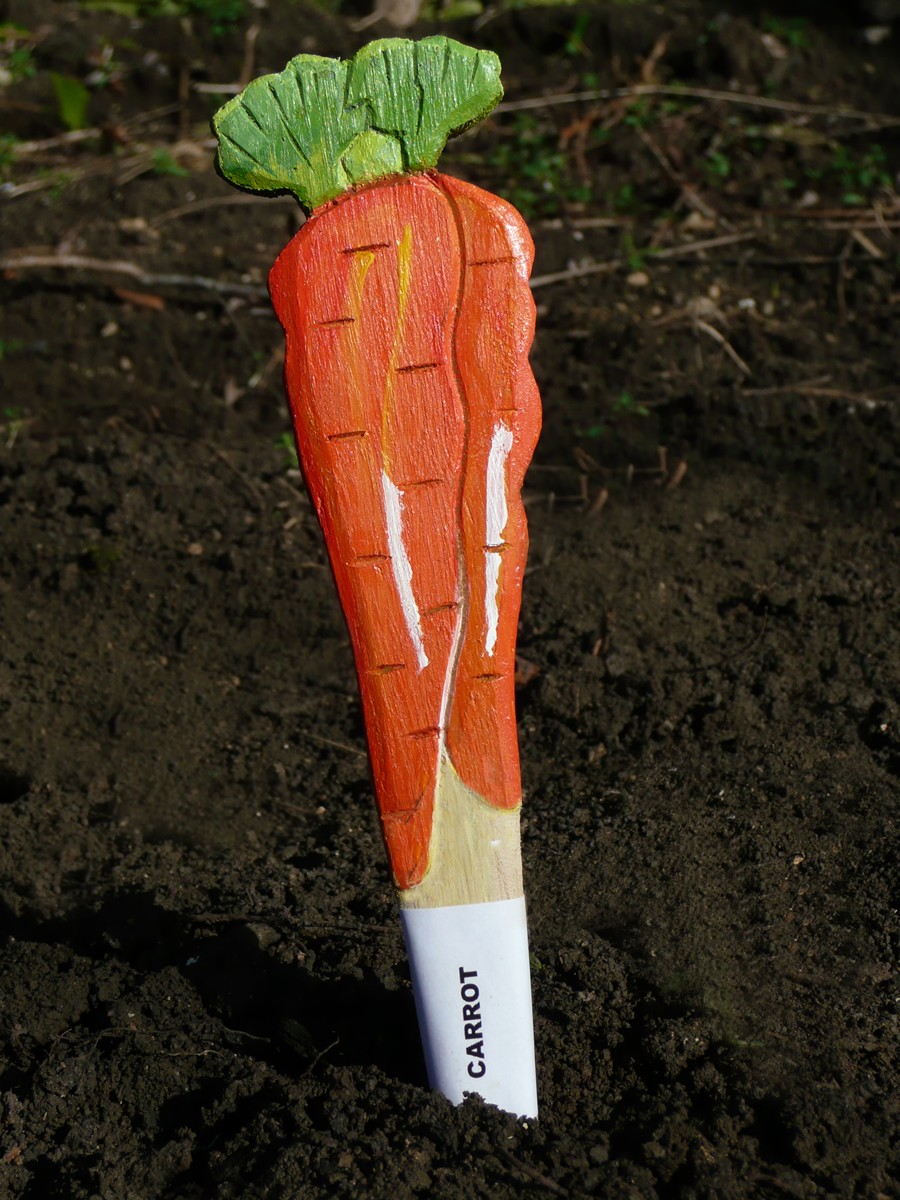 Veggie Stikks Carrot Vegetable Labelling