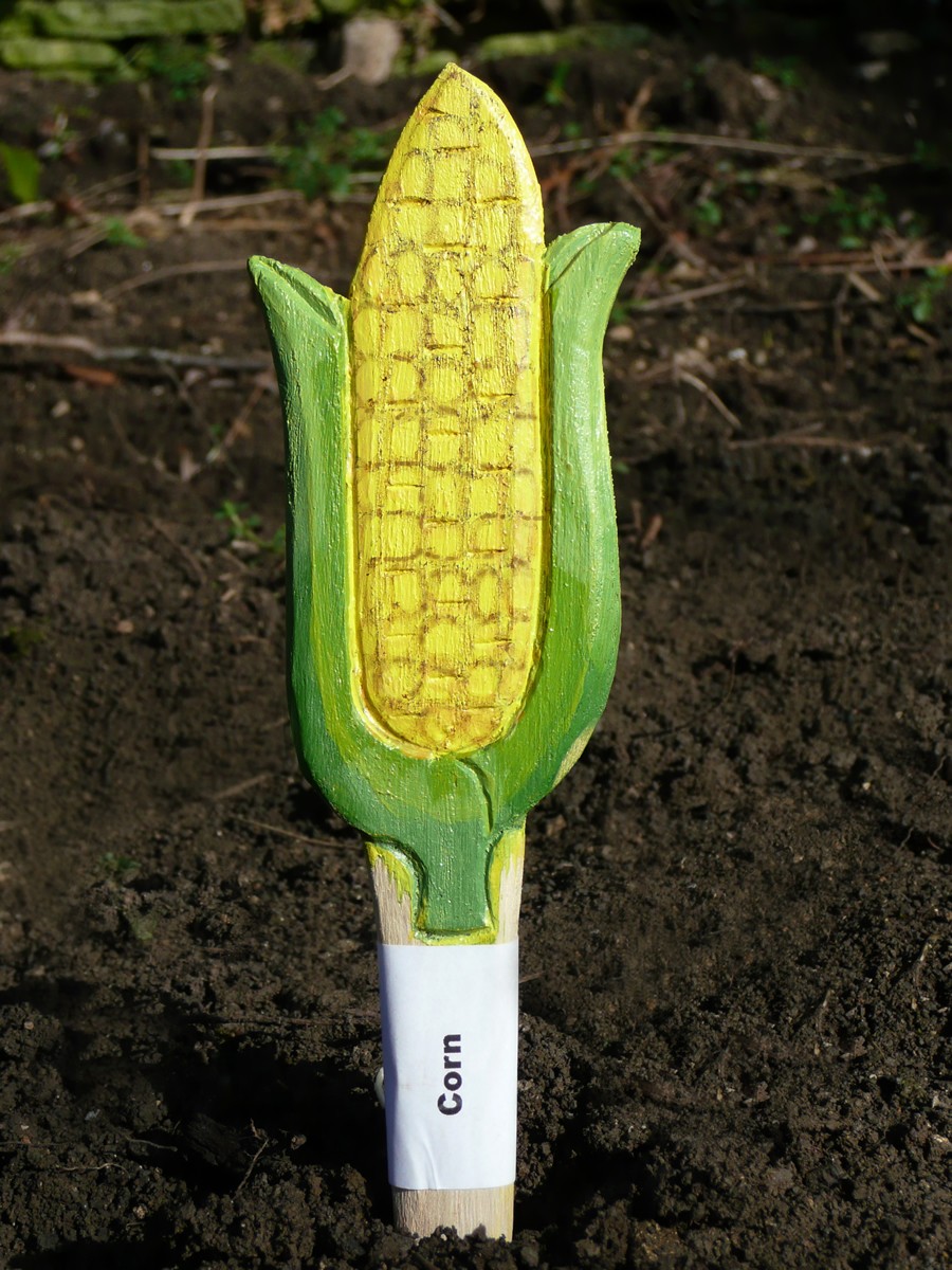 Veggie Stikks Corn Vegetable Labelling