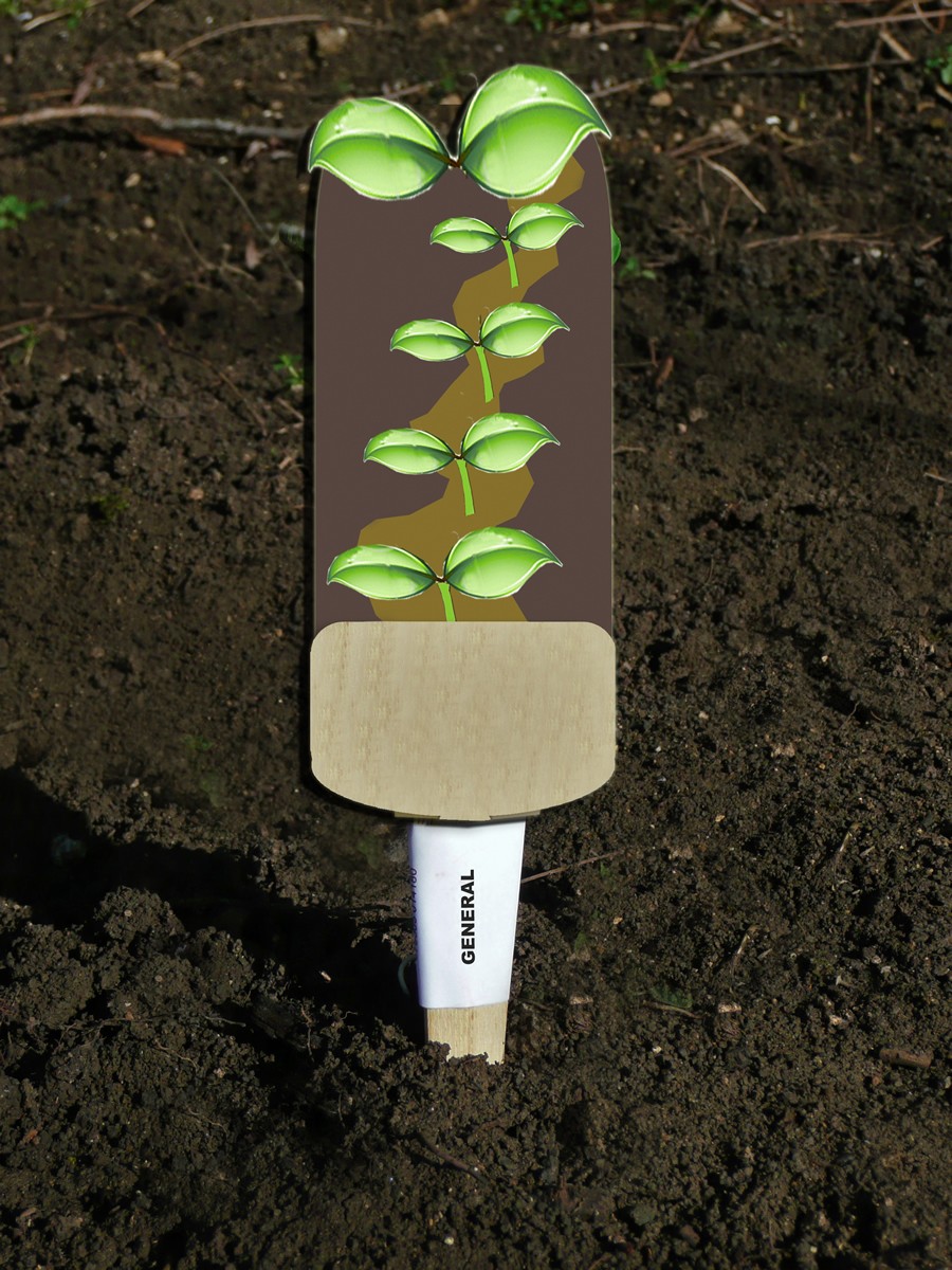 Veggie Stikks General Seedling Vegetable Labelling