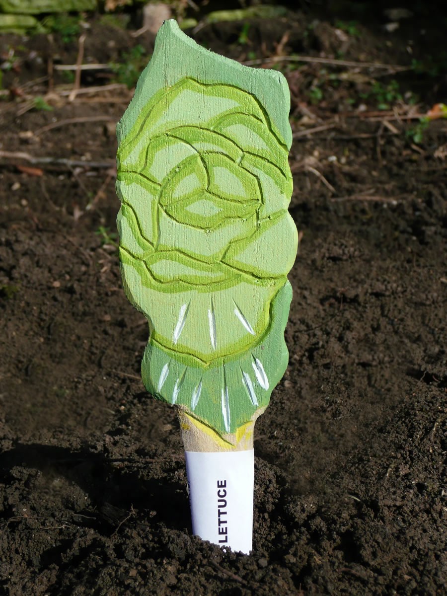 Veggie Stikks Lettuce Vegetable Labelling