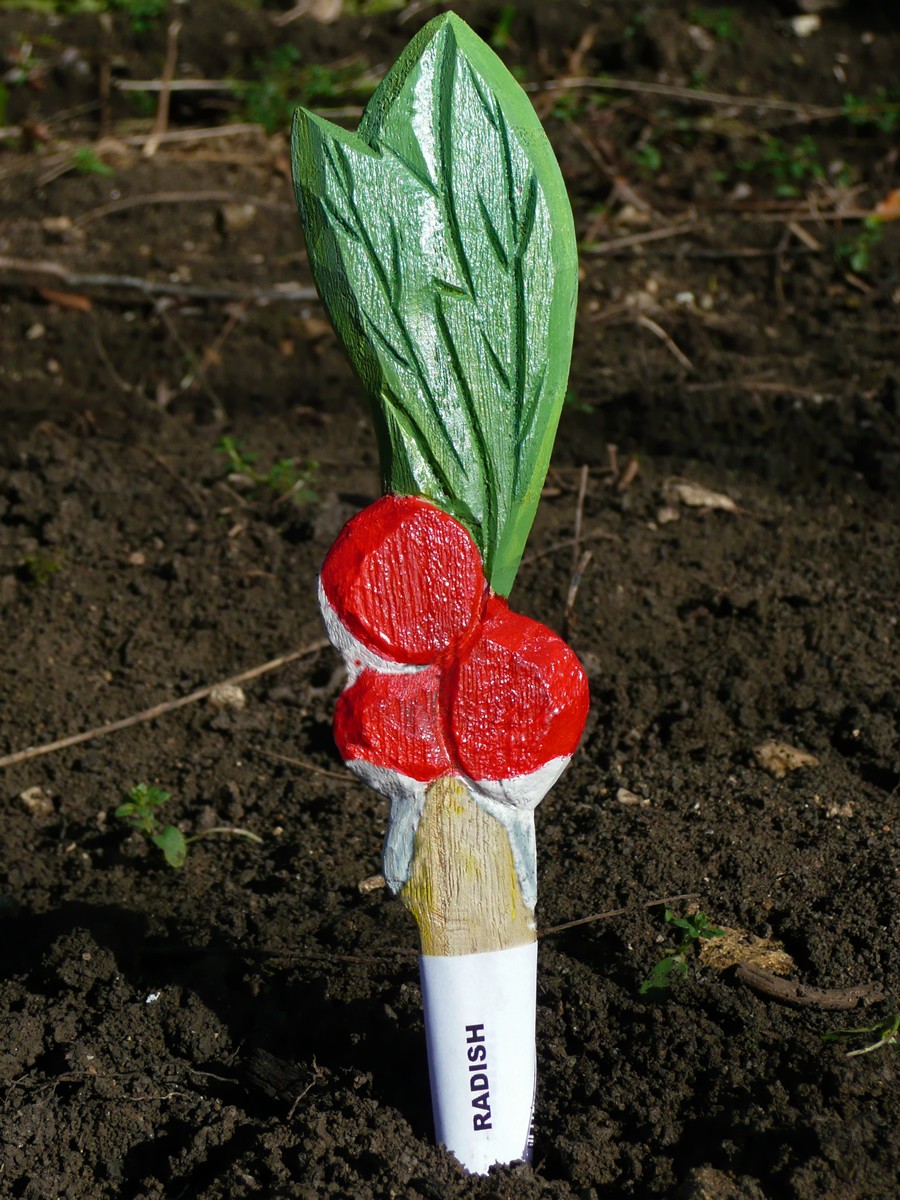 Veggie Stikks Radish Vegetable Labelling