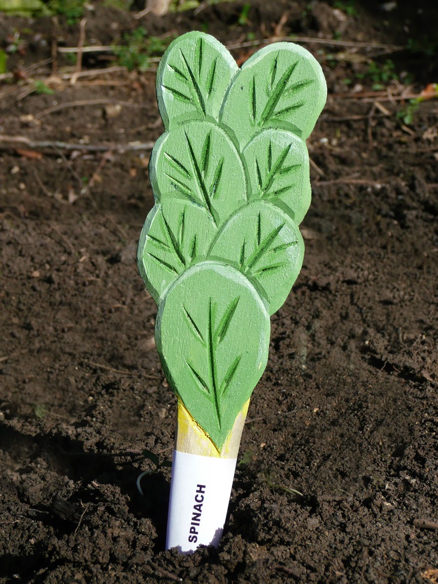 Veggie Stikks Spinach Vegetable Labelling