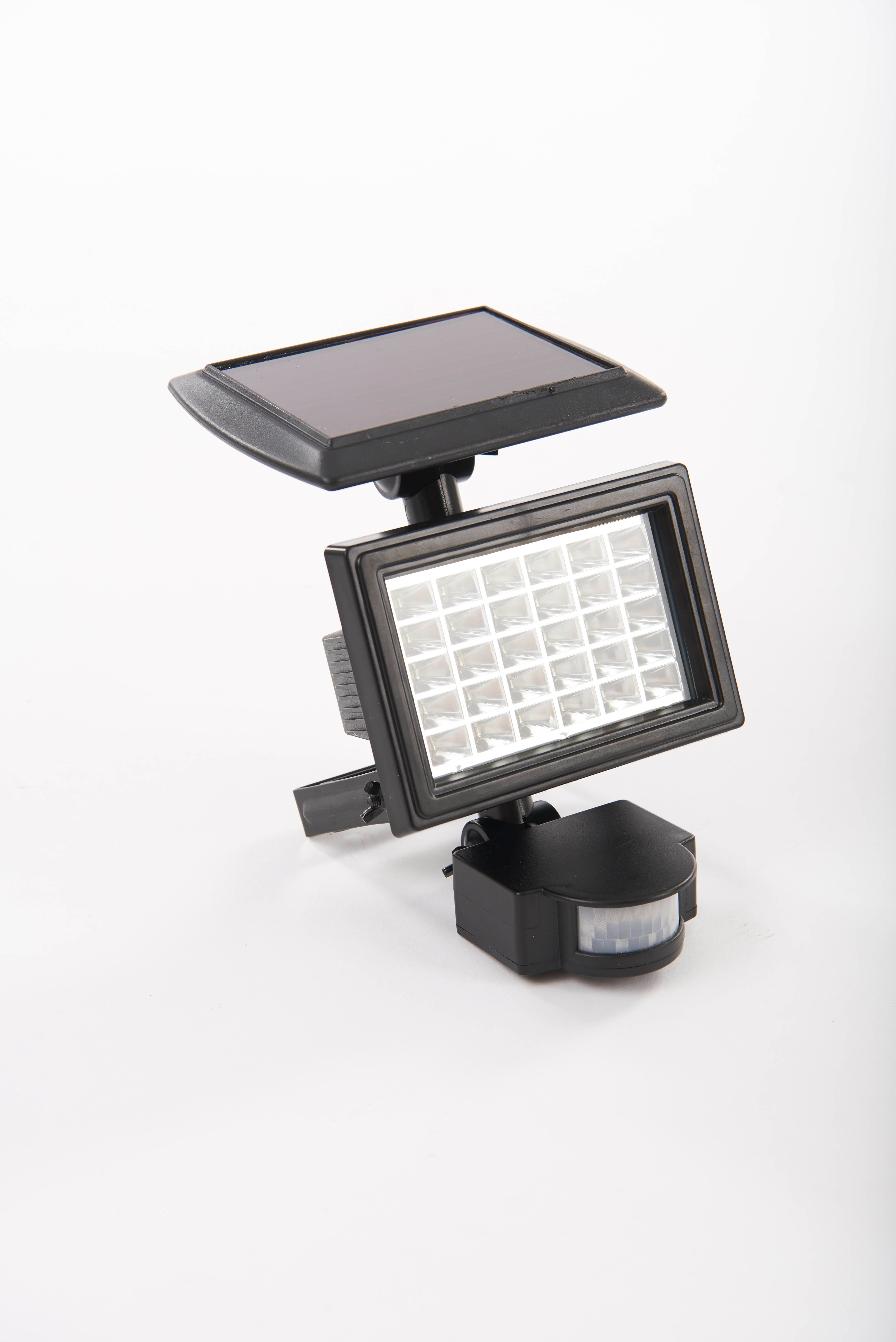 Gablemere 30 LED Security Light