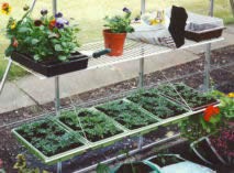 Speed Shelf Seed Tray Shelf Green