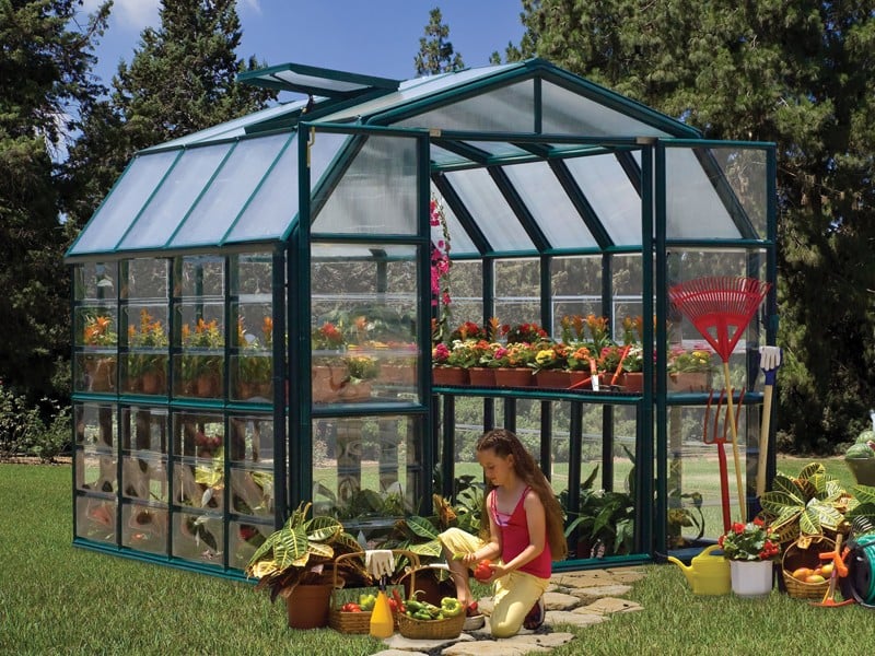 Rion Grand 8X16 Greenhouse with Base Clear Glazing