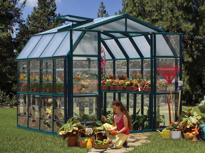 Rion Grand 8X20 Greenhouse with Base Clear Glazing