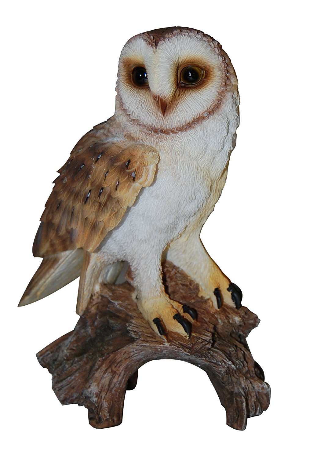 Vivid Arts Real Life Barn Owl Size F