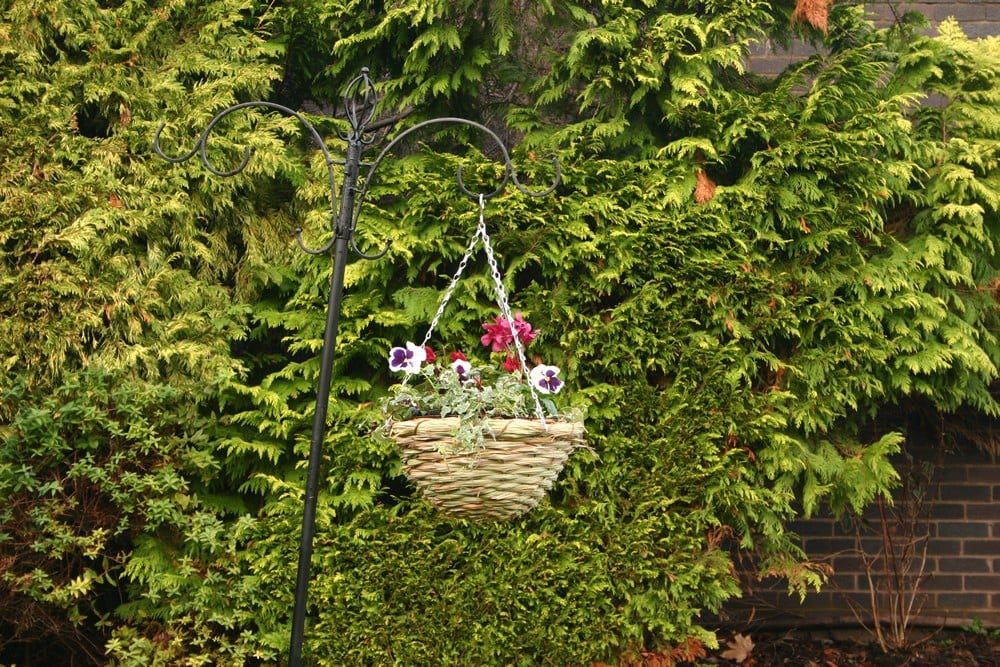Botanico Hanging Basket Natural Grass