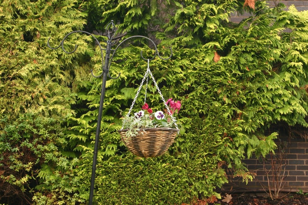 Botanico Hanging Basket Natural Duo