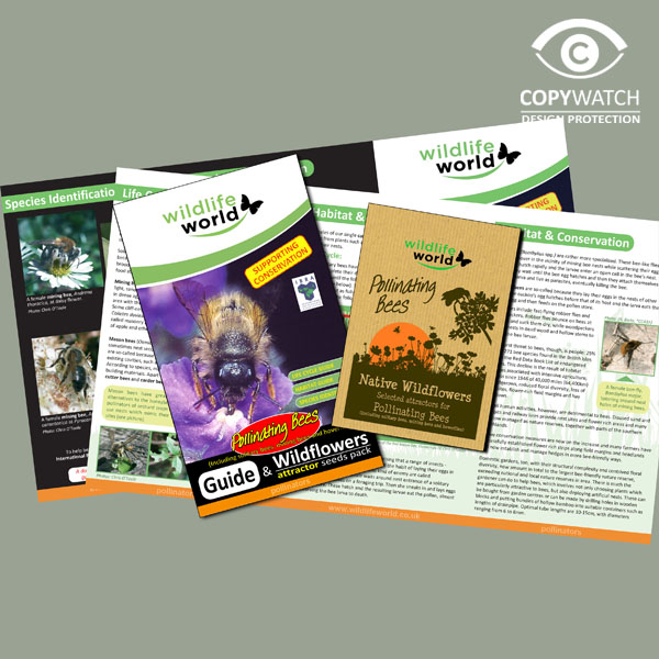 Wildlife World Wildflower Seeds for Pollinating Bees with laminated guide