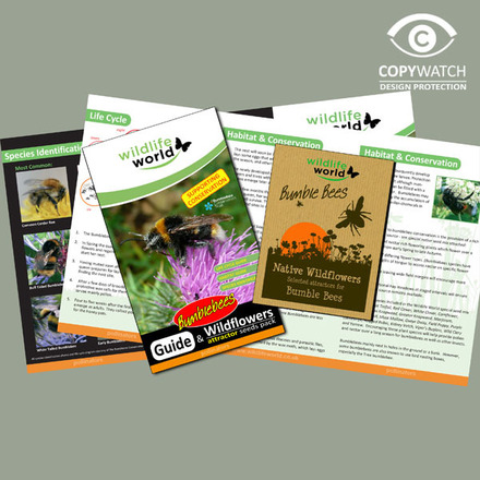 Wildlife World Native Wildflower Seeds for Bumblebees with laminated guide