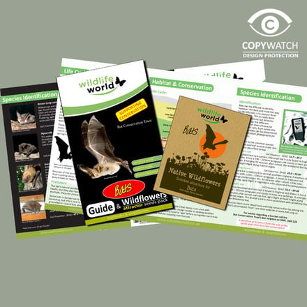 Wildlife World Native Wildflower Seeds for Bats with laminated guide