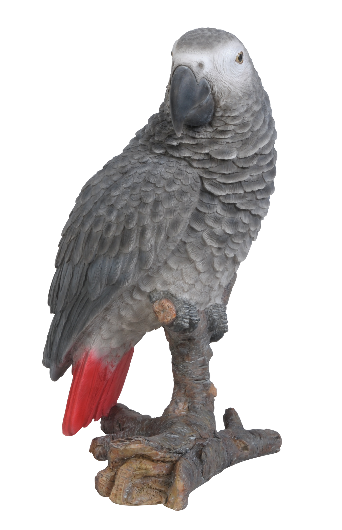 Vivid Arts Real Life African Grey Parrot Size D