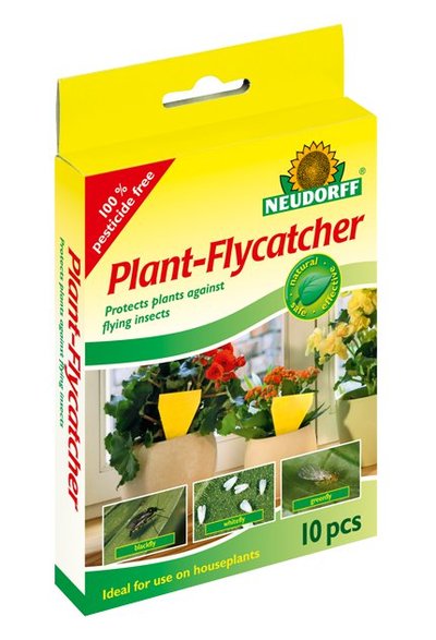 Neudorff Plant Flycatchers 10 pc