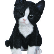 Vivid Arts Pet Pals Kitten BlackWhite Size F