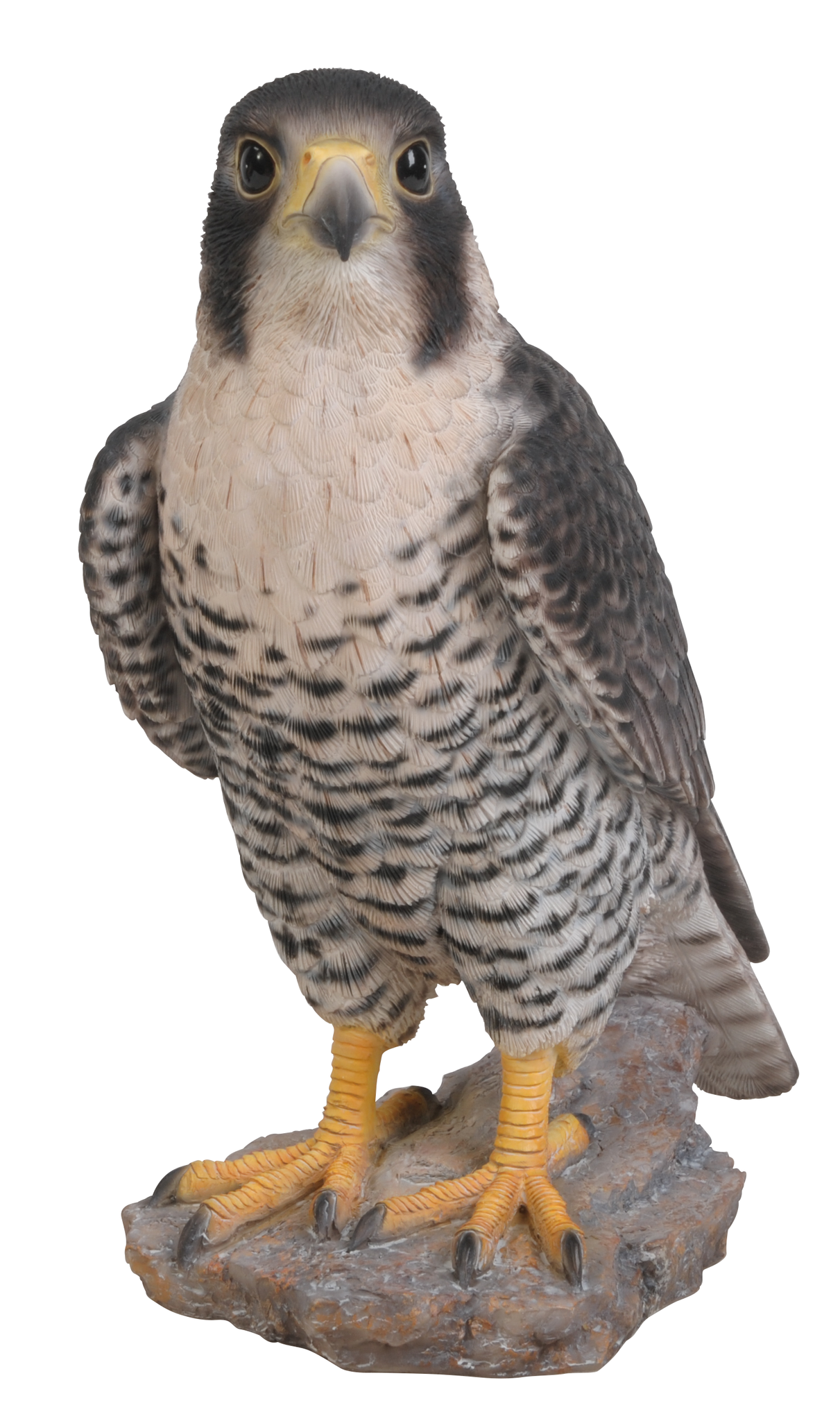 Vivid Arts Peregrine Falcon Size B