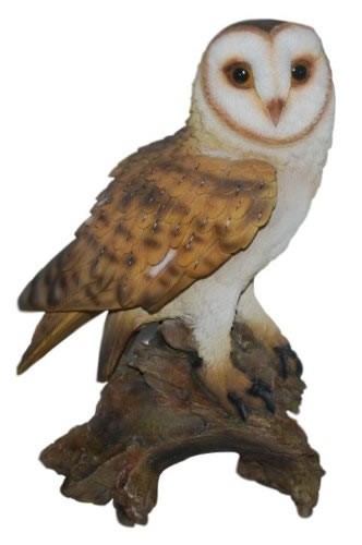 Click to view product details and reviews for Vivid Arts Real Life Barn Owl Size B.
