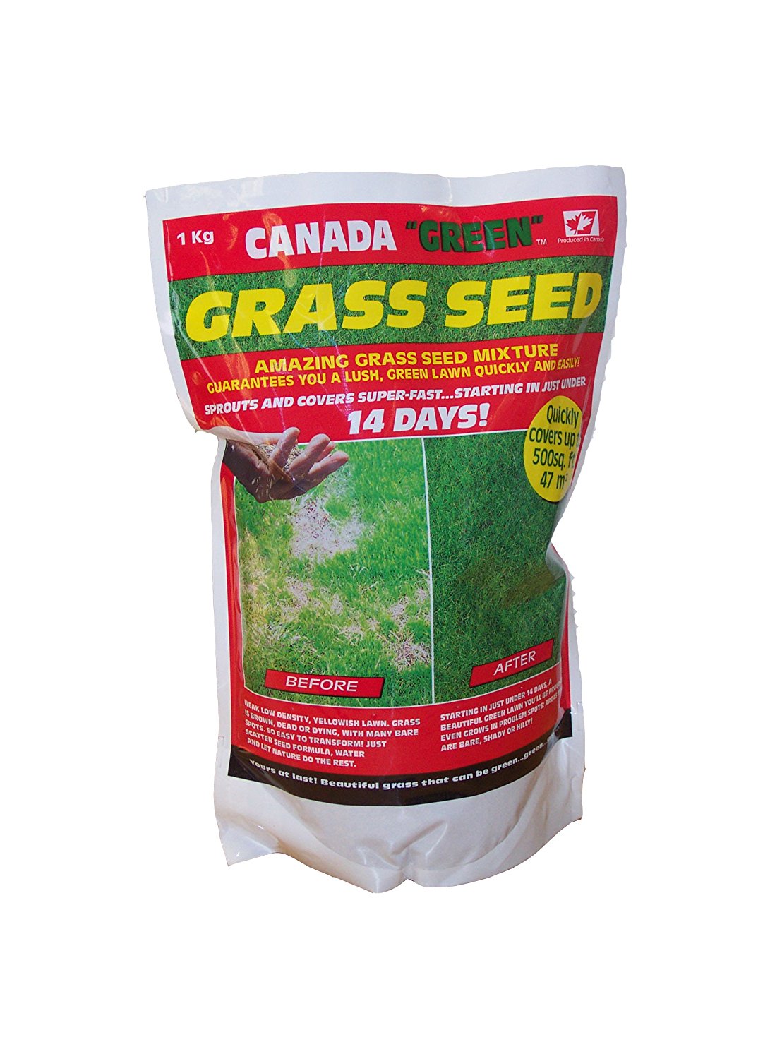 Canada Grass Seed 1KG pk