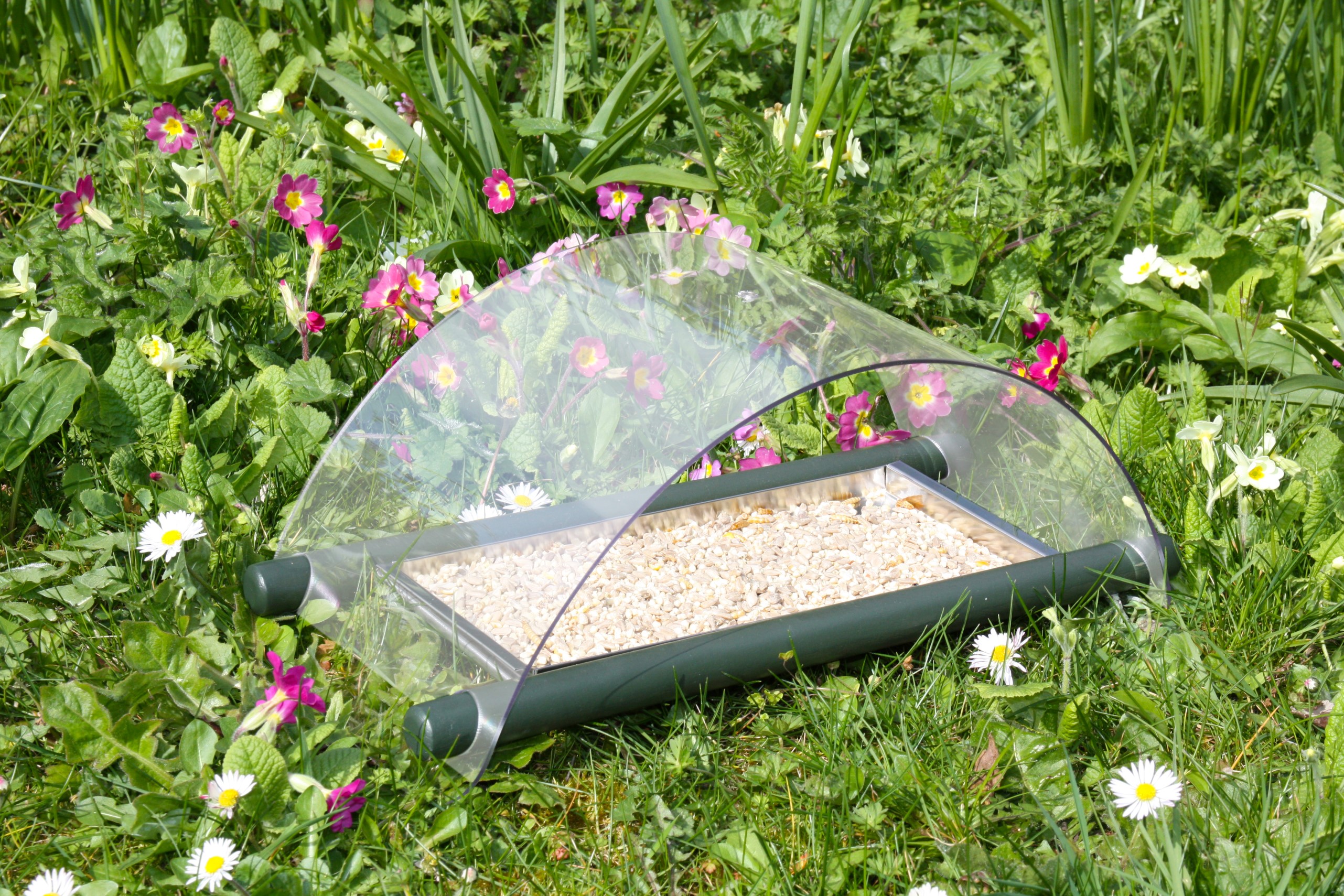 Wildlife World Archway Ground Feed with Steel Tray