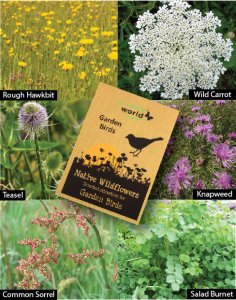Wildlife World Native Wildflower Seeds for Garden Birds