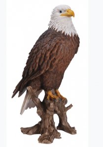 Vivid Arts Real Life American Bald Eagle - Size A