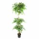 Leaf Design 180cm Artificial Twisted Trunk Fruticosa Ficus Tree Triple Ball Topiary( 1984 Leaves)