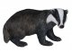 Vivid Arts Real Life Badger - Size A