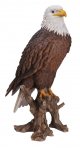 Vivid Arts Real Life American Bald Eagle - Size B