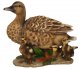 Vivid Arts Real Life Duck with Ducklings - Size B 